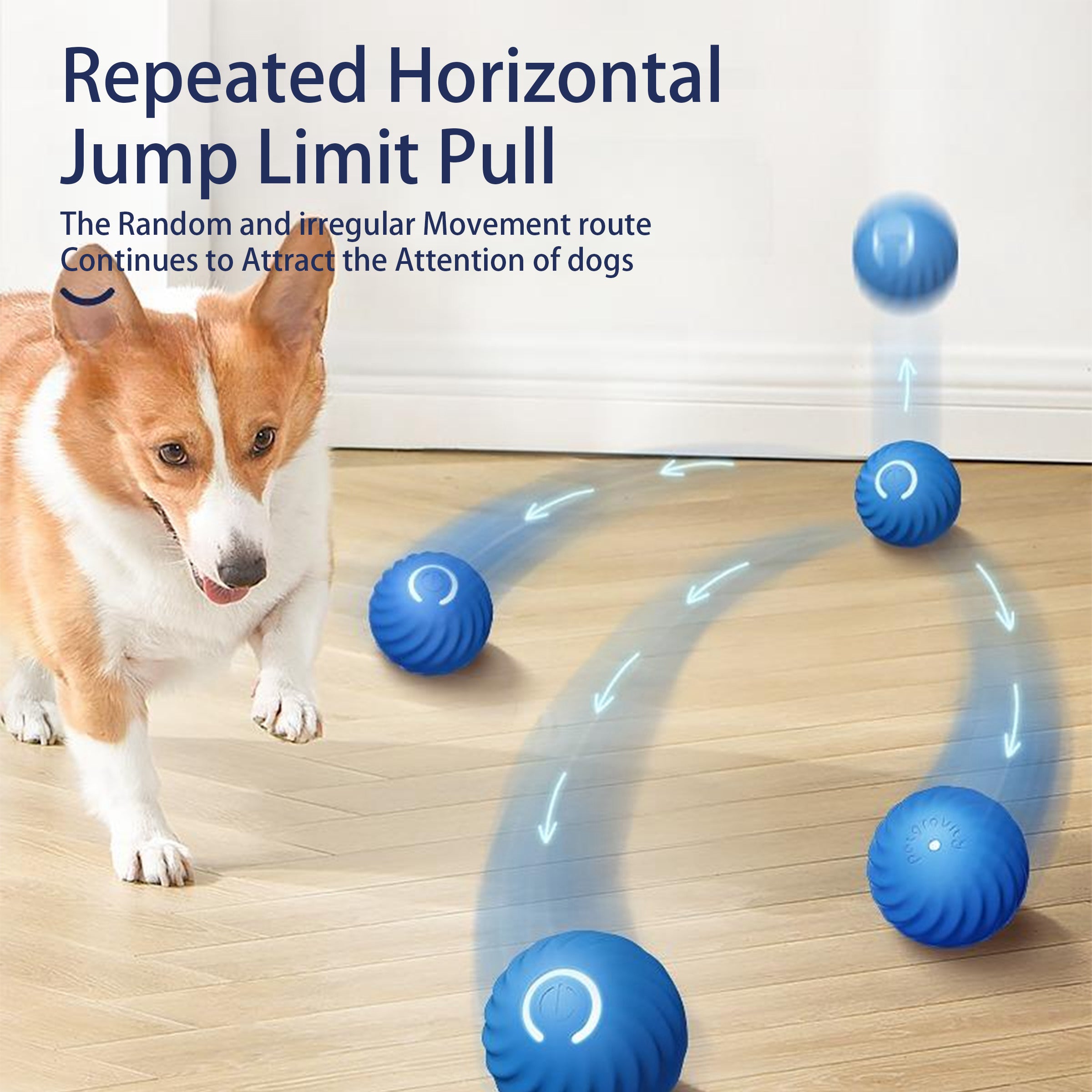 Interactive Bouncing Ball For Dogs+Cats