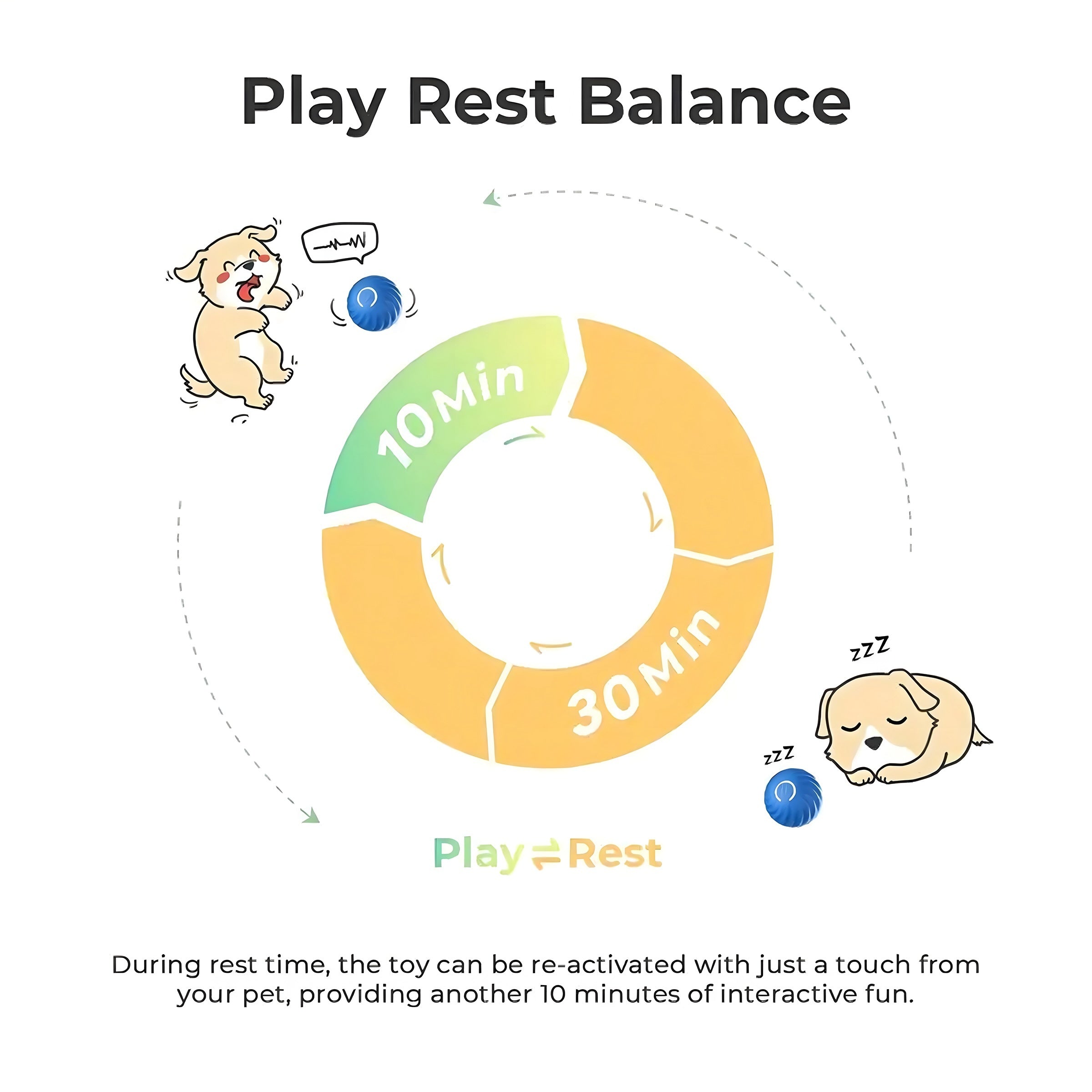 Interactive Bouncing Ball For Dogs+Cats