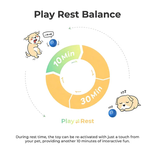 Interactive Bouncing Ball For Dogs+Cats