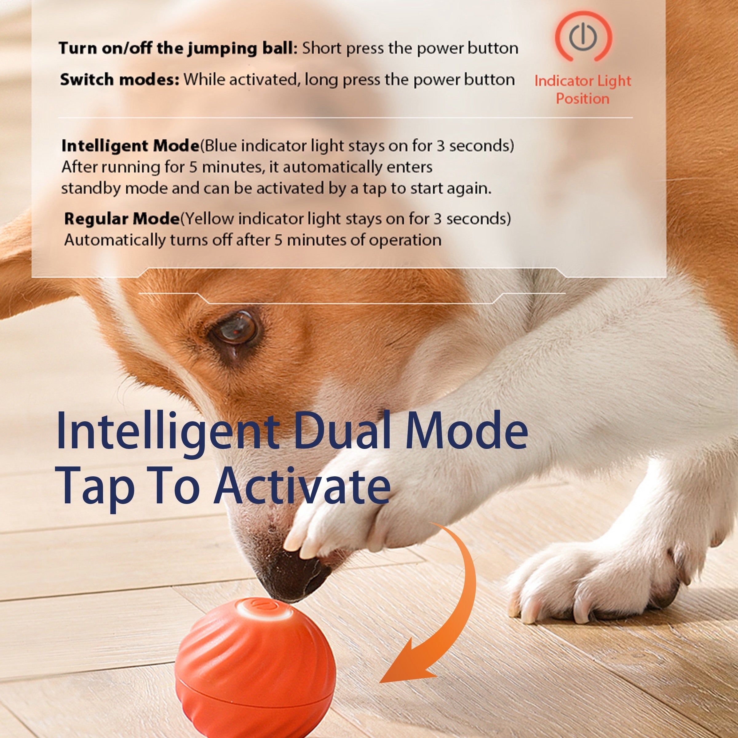 Interactive Bouncing Ball For Dogs+Cats