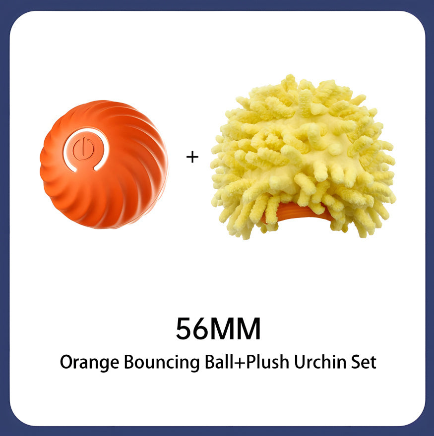 Interactive Bouncing Ball For Dogs+Cats
